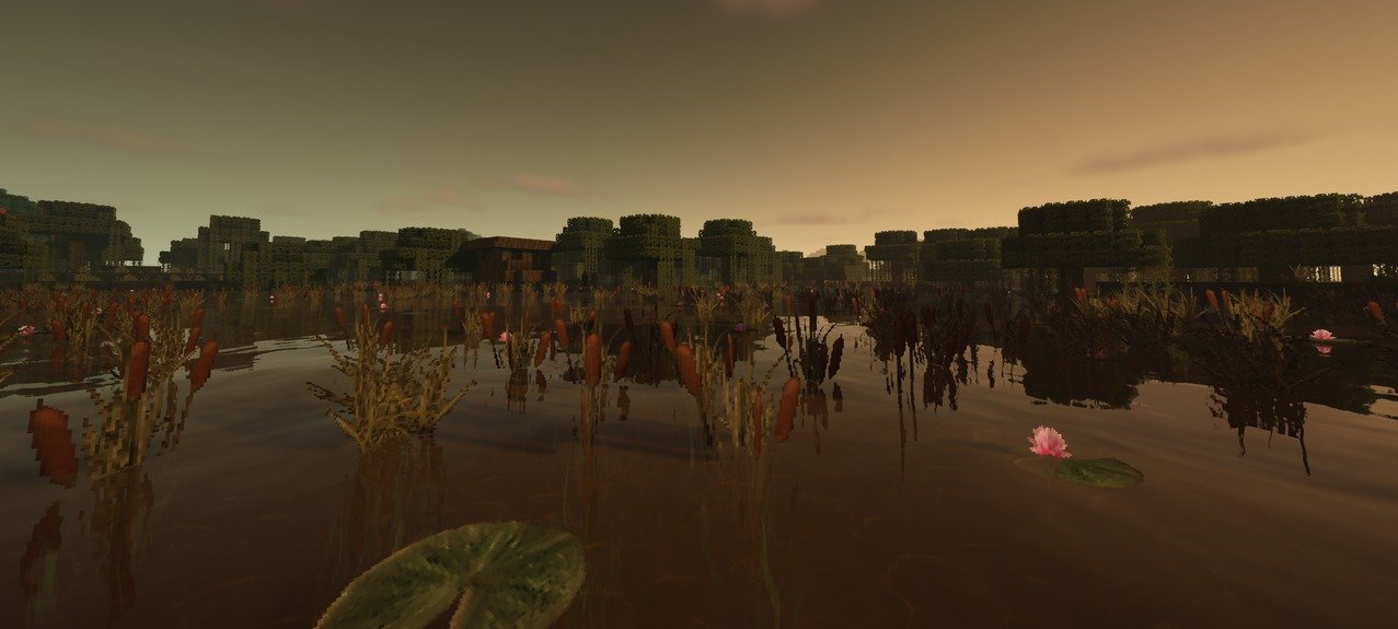 Misas Realistic TP (2)