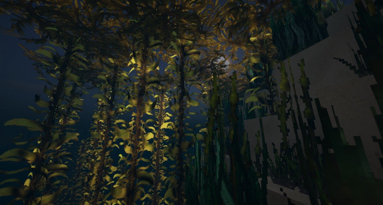 Misas Realistic TP (6)