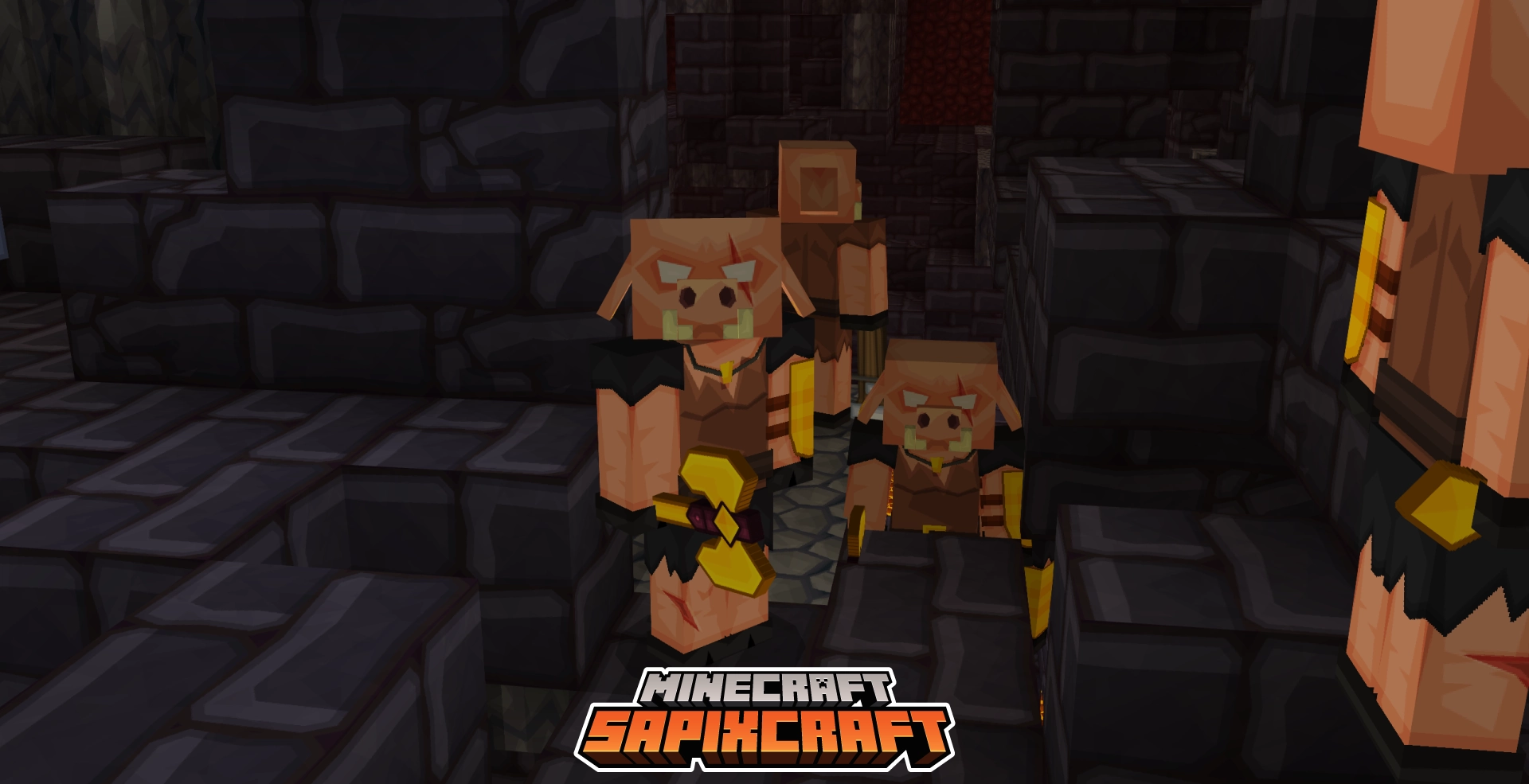Sapixcraft TP (7)