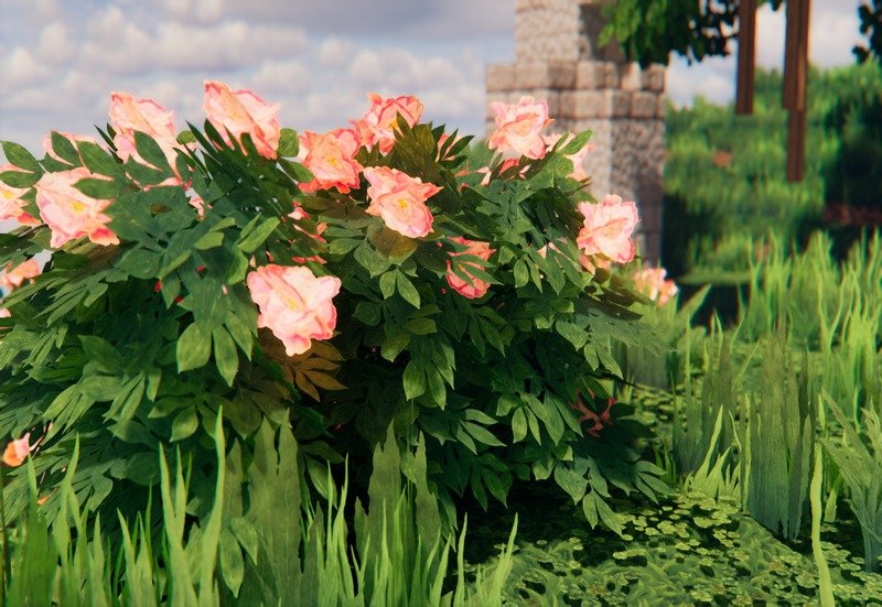 COVEN Texture Pack (14)