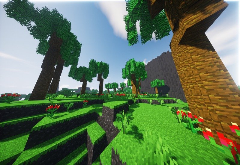 Motschen's Better Leaves (11)