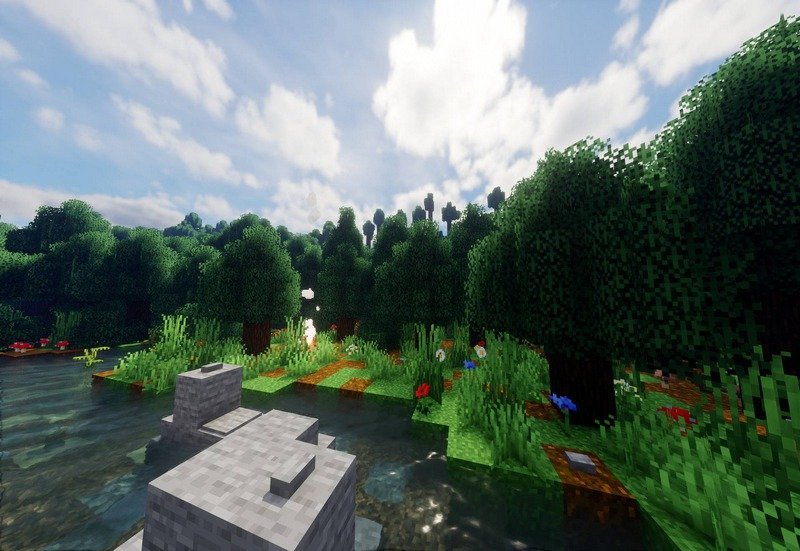 Motschen's Better Leaves (5)