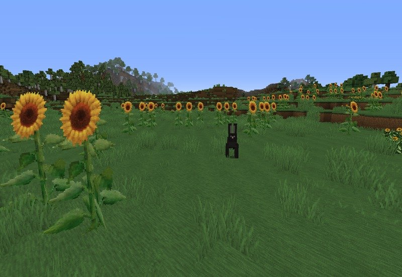 Soartex Fanver - Vanilla Texture Pack (4)