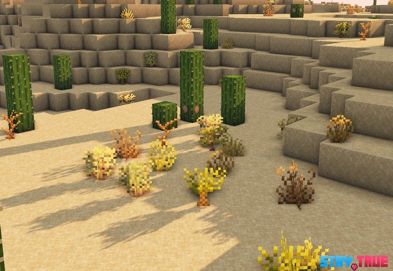 Stay True Texture Pack (2)
