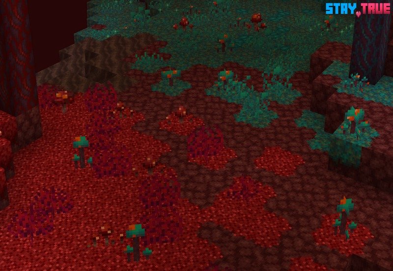 Stay True Texture Pack (3)