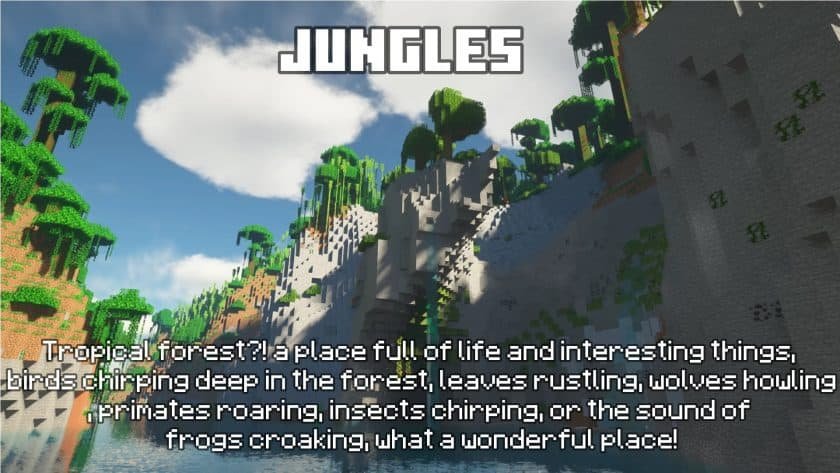 Dynamic Surroundings Sounds Pack (1)